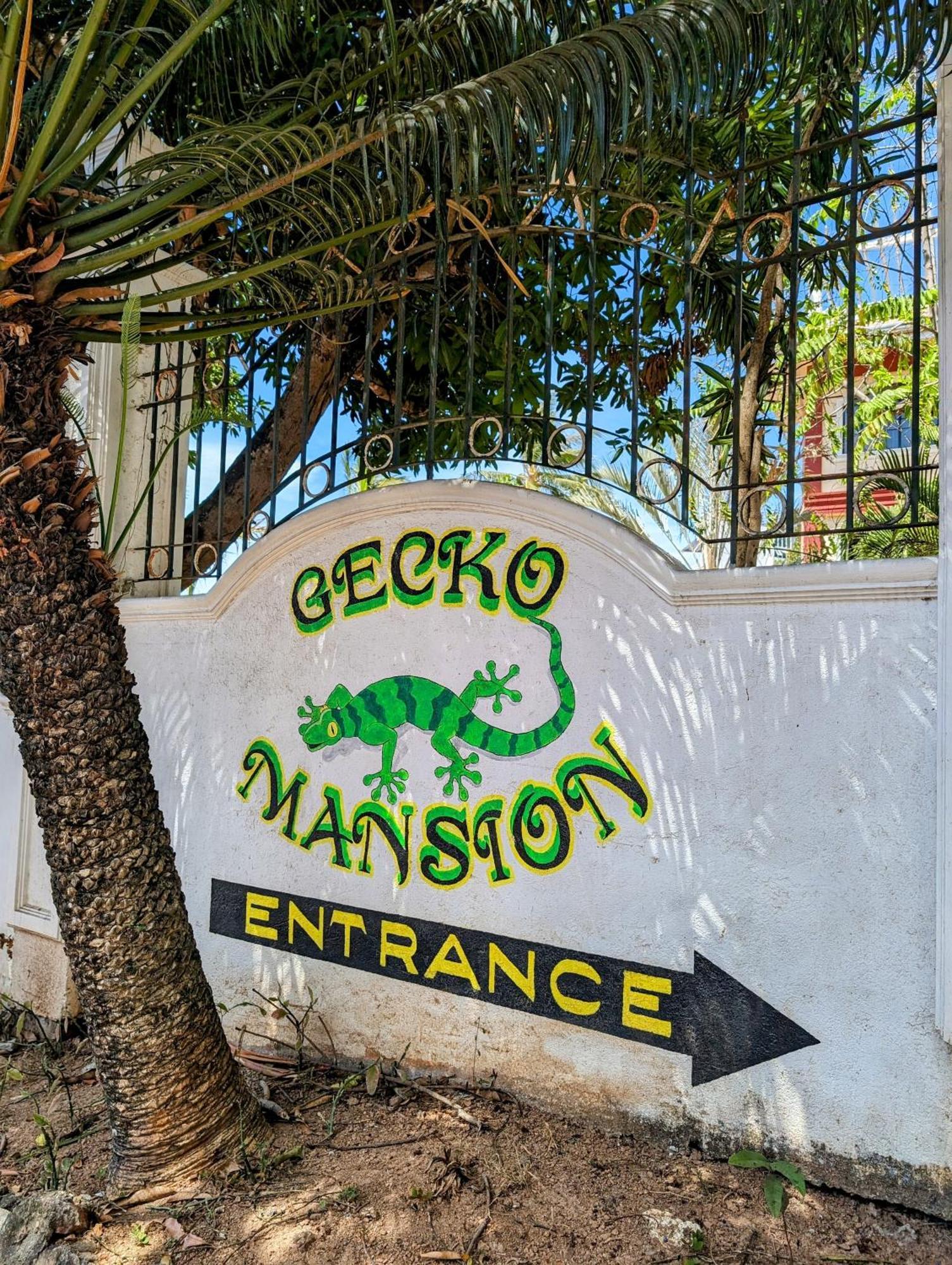 Screaming Gecko Hostel Busuanga Exterior foto