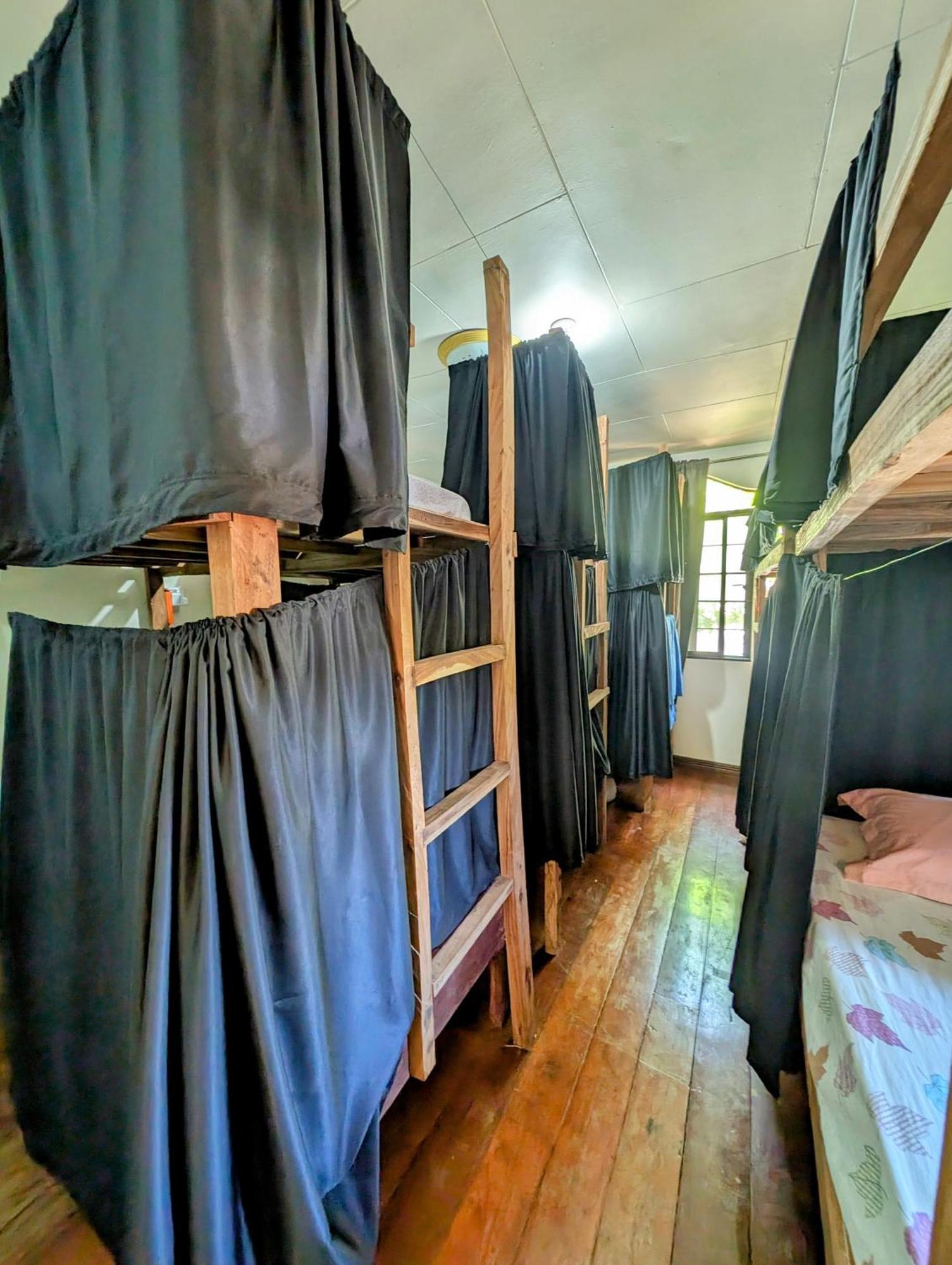 Screaming Gecko Hostel Busuanga Exterior foto